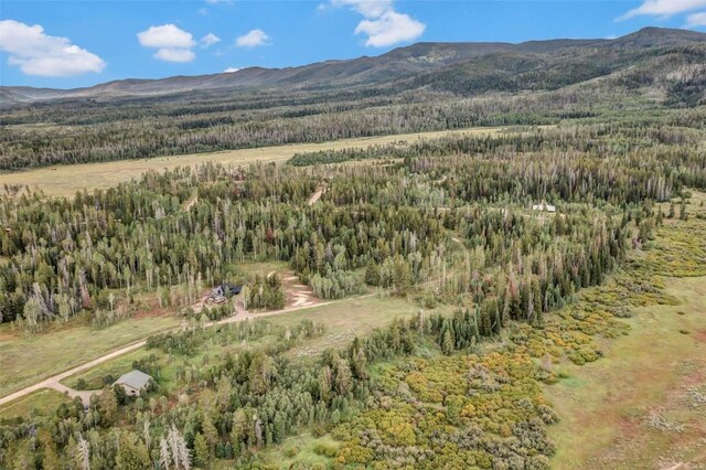 33190 Filly Trl, Oak Creek, CO 80467 - photo 24