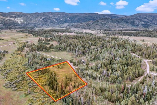 33190 Filly Trl, Oak Creek, CO 80467 - photo 1