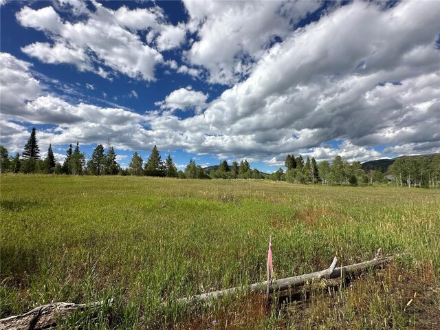 33190 Filly Trl, Oak Creek, CO 80467 - photo 4