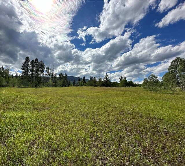 33190 Filly Trl, Oak Creek, CO 80467 - photo 8