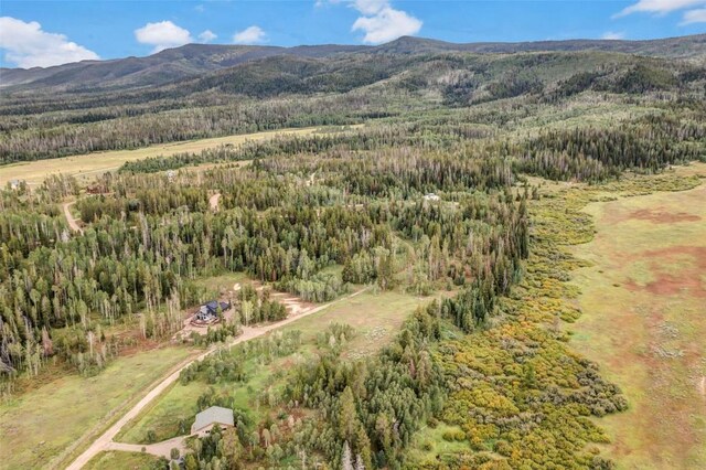 33190 Filly Trl, Oak Creek, CO 80467 - photo 21