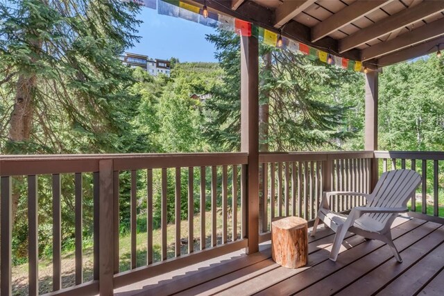 2617 Burgess Creek Rd Unit 102, Steamboat Springs, CO 80487 - photo 4
