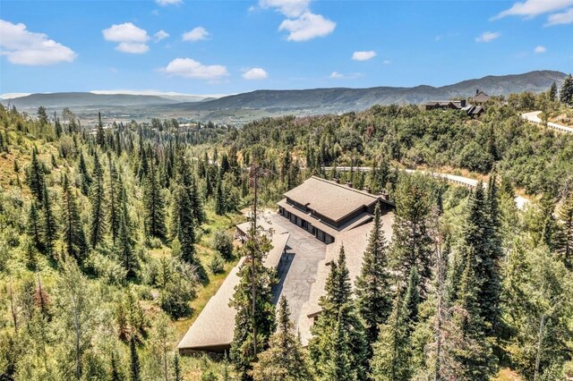 2617 Burgess Creek Rd Unit 102, Steamboat Springs, CO 80487 - photo 35
