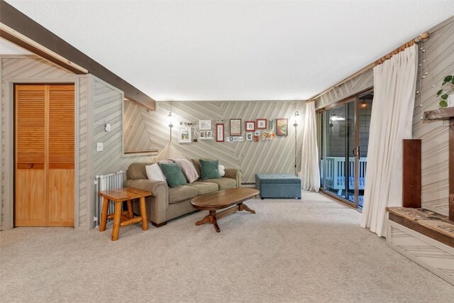 2617 Burgess Creek Rd Unit 102, Steamboat Springs, CO 80487 - photo 3
