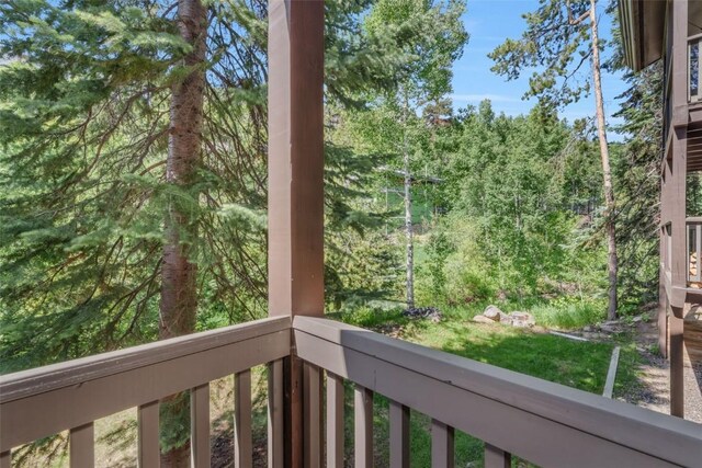 2617 Burgess Creek Rd Unit 102, Steamboat Springs, CO 80487 - photo 5