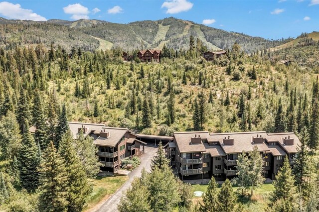 2617 Burgess Creek Rd Unit 102, Steamboat Springs, CO 80487 - photo 34
