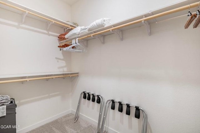 spacious closet with carpet floors