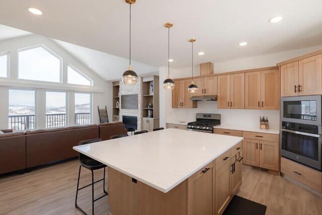 1110 Mt Neva Dr, Granby, CO 80446 - kitchen with stainless steel appliances, under cabinet range hood, light wood-style floors, a kitchen island, and open floor plan