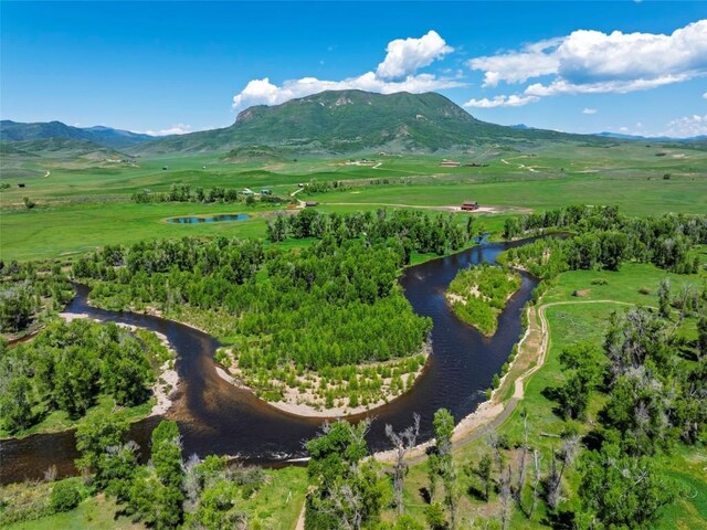 27150 Cowboy Up Rd, Steamboat Springs, CO 80487 - photo 7