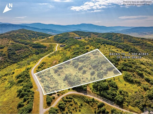 27150 Cowboy Up Rd, Steamboat Springs, CO 80487 - photo 4
