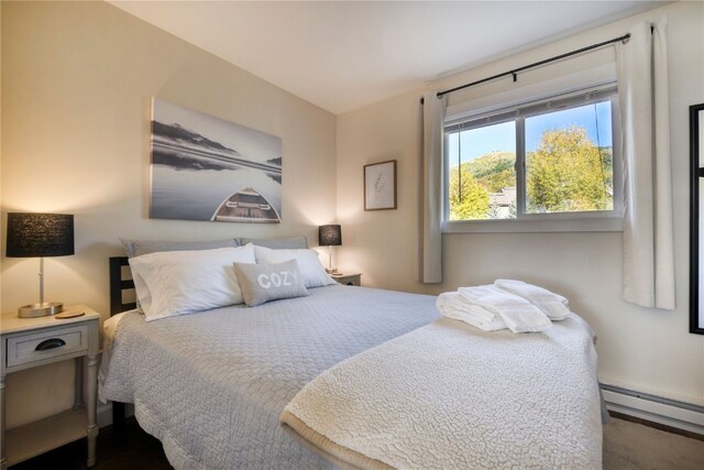 3295 Apres Ski Way Unit B10, Steamboat Springs, CO 80487 - bedroom with a baseboard heating unit