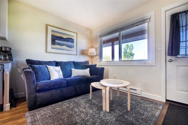 3295 Apres Ski Way Unit B10, Steamboat Springs, CO 80487 - living room featuring wood finished floors and a baseboard heating unit