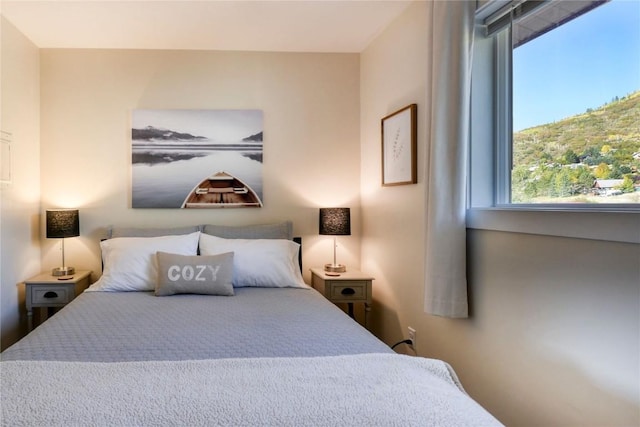 3295 Apres Ski Way Unit B10, Steamboat Springs, CO 80487 - view of bedroom