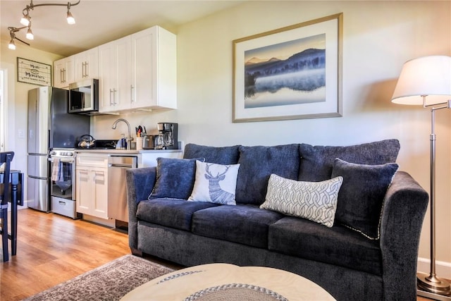 3295 Apres Ski Way Unit B10, Steamboat Springs, CO 80487 - living room with light wood finished floors