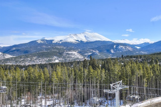 1891 Ski Hill Rd Unit 7404, Breckenridge, CO 80424 - mountain view with a view of trees