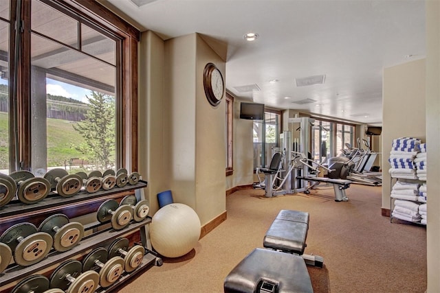 1891 Ski Hill Rd Unit 7404, Breckenridge, CO 80424 - workout area featuring baseboards and carpet floors