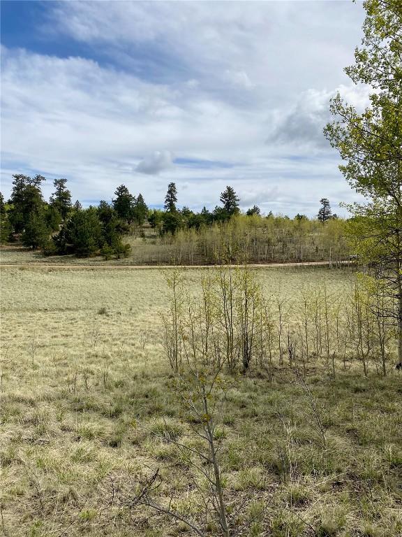 2757 Warrior Cir, Como, CO 80432