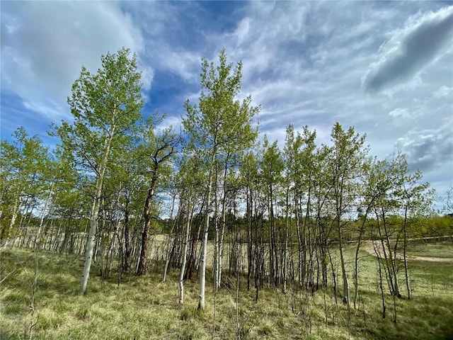 2757 Warrior Cir, Como, CO 80432