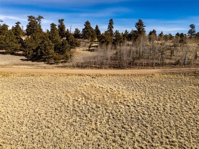 2757 Warrior Cir, Como, CO 80432