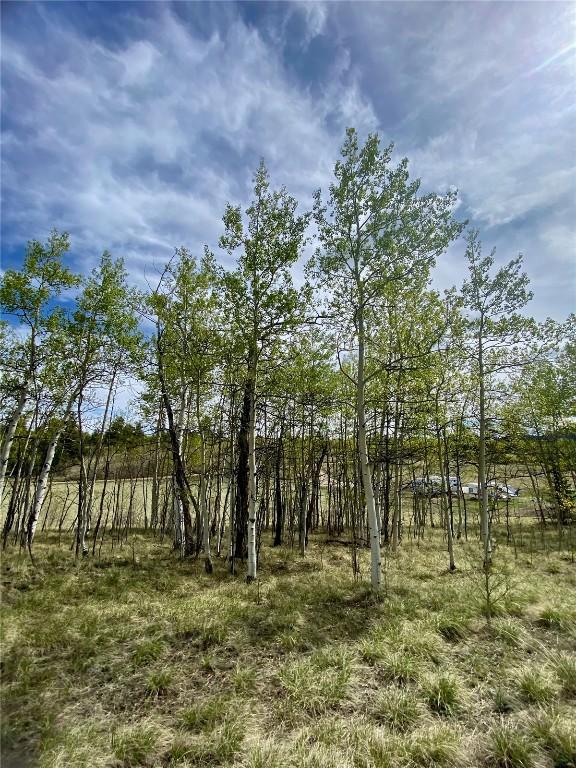 2757 Warrior Cir, Como, CO 80432