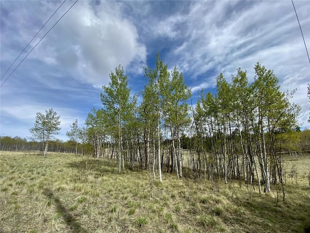 2757 Warrior Cir, Como, CO 80432