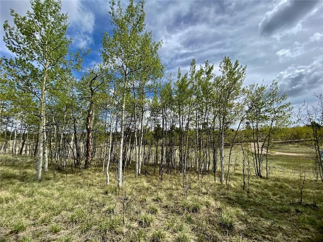 2757 Warrior Cir, Como, CO 80432