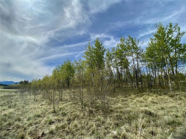 2757 Warrior Cir, Como, CO 80432
