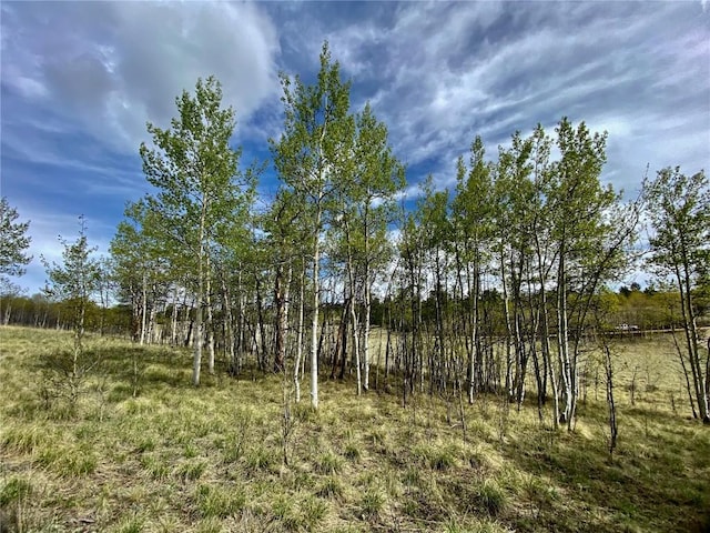 2757 Warrior Cir, Como, CO 80432