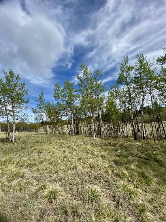 2757 Warrior Cir, Como, CO 80432