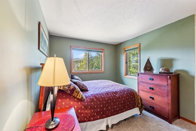 9460 Ryan Gulch Rd Unit 65, Silverthorne, CO 80498 - view of carpeted bedroom