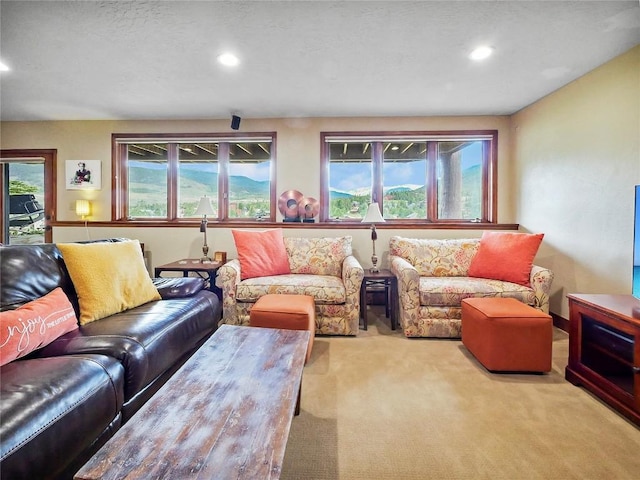 193 Soda Creek Ct, Dillon, CO 80435 - photo 37