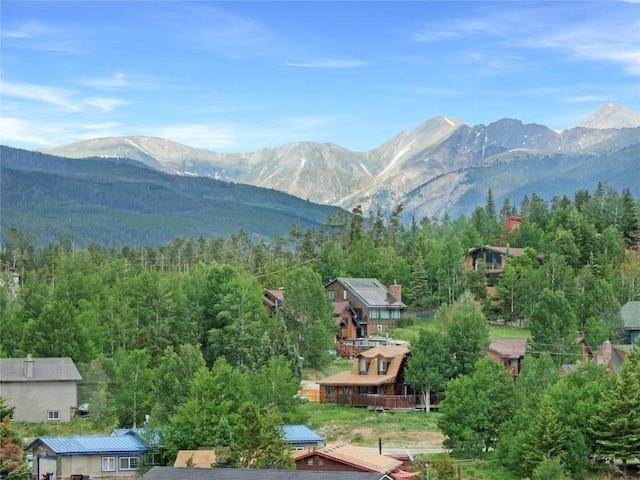 193 Soda Creek Ct, Dillon, CO 80435 - photo 49