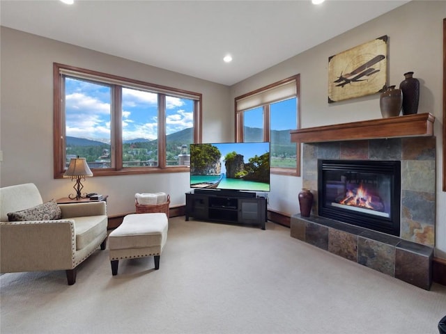193 Soda Creek Ct, Dillon, CO 80435 - photo 11