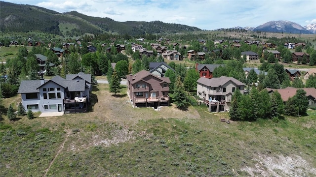 193 Soda Creek Ct, Dillon, CO 80435 - photo 50