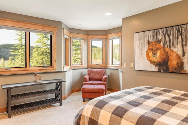 174 Sage Dr, Breckenridge, CO 80424 - bedroom with baseboards and carpet flooring