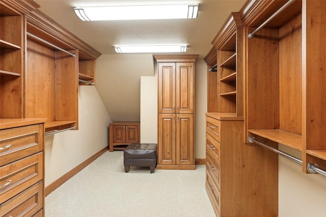 174 Sage Dr, Breckenridge, CO 80424 - spacious closet with vaulted ceiling and light carpet