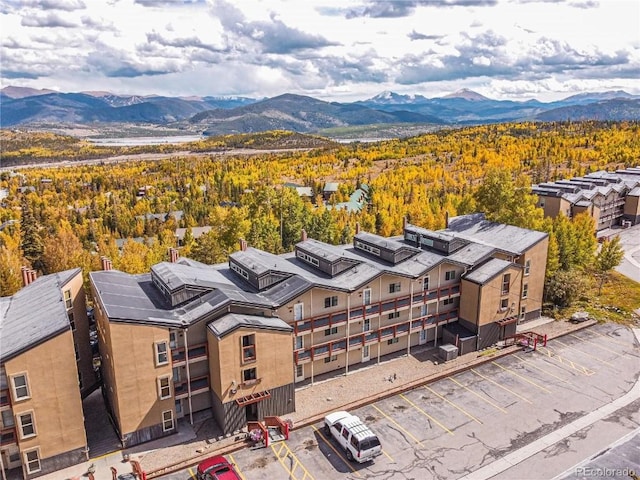 7222 Ryan Gulch Rd Unit 202, Silverthorne, CO 80498 - photo 1
