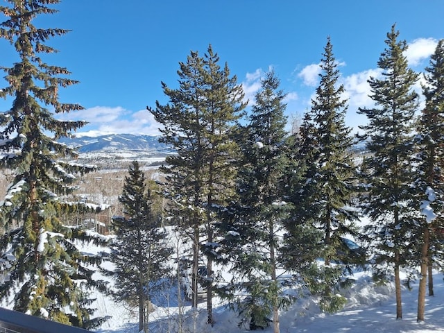 mountain view