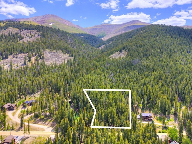 585 Doris Dr, Breckenridge, CO 80424