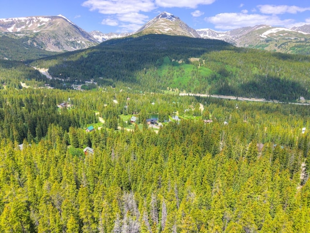 585 Doris Dr, Breckenridge, CO 80424