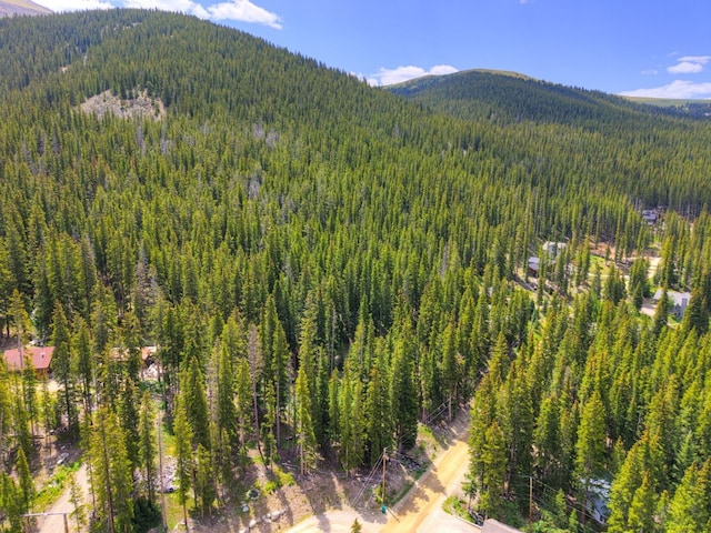 585 Doris Dr, Breckenridge, CO 80424