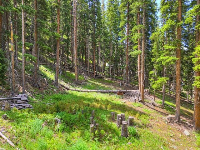 585 Doris Dr, Breckenridge, CO 80424