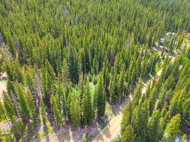 585 Doris Dr, Breckenridge, CO 80424