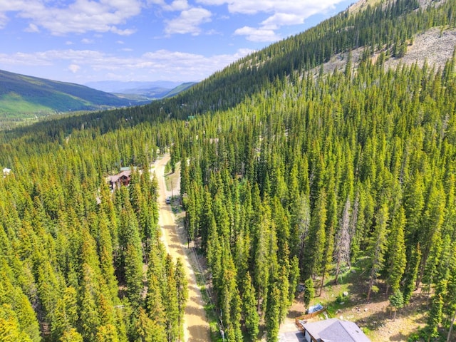585 Doris Dr, Breckenridge, CO 80424