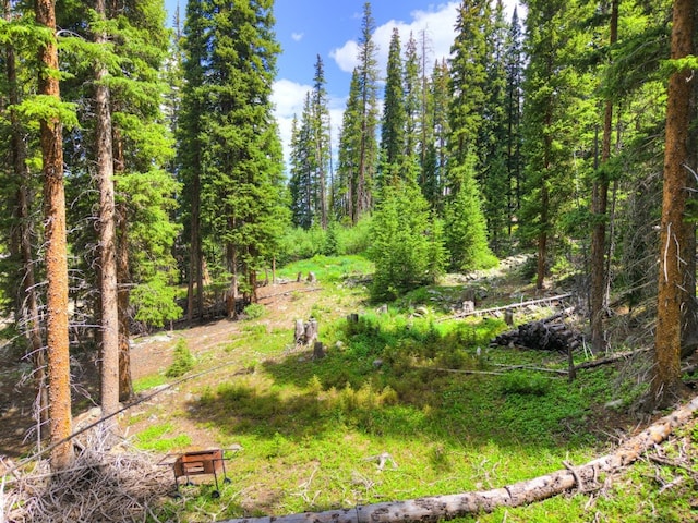 585 Doris Dr, Breckenridge, CO 80424