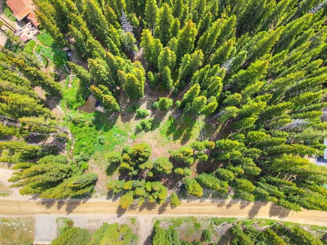 585 Doris Dr, Breckenridge, CO 80424