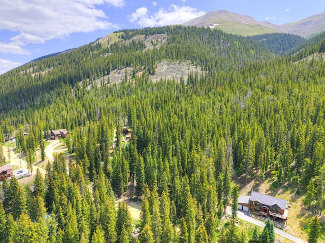 585 Doris Dr, Breckenridge, CO 80424