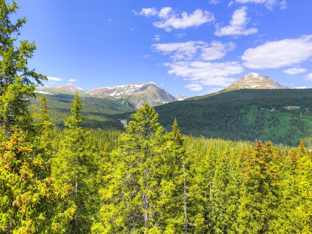 585 Doris Dr, Breckenridge, CO 80424