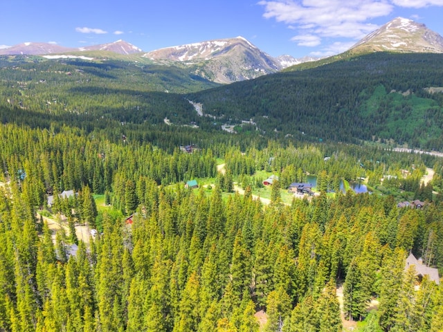 585 Doris Dr, Breckenridge, CO 80424 - photo 15