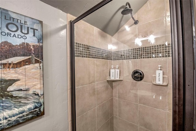 107 Ski Watch Rd Unit 432, Breckenridge, CO 80424 - bathroom featuring a shower stall